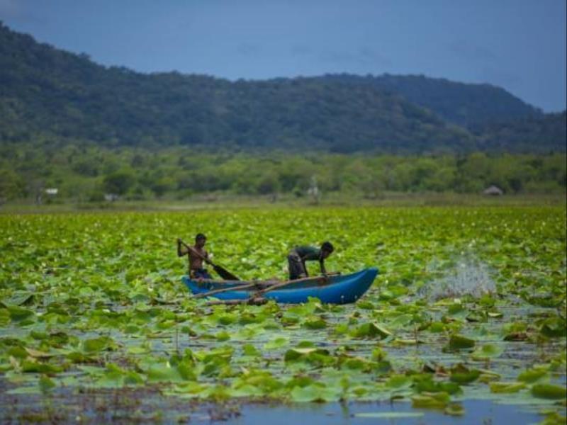 Grand Tamarind Lake Kataragama Bagian luar foto